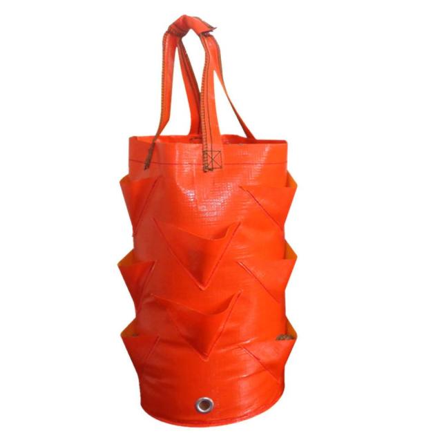Garden Supplies Strawberry Planting Bag