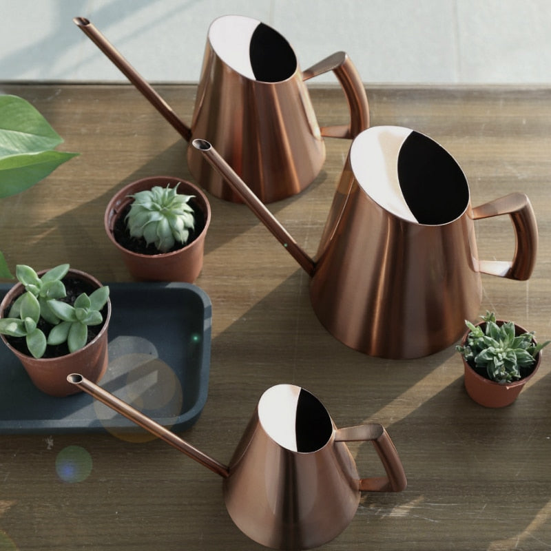 Stainless Steel Watering Pot