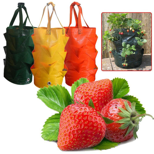 Garden Supplies Strawberry Planting Bag