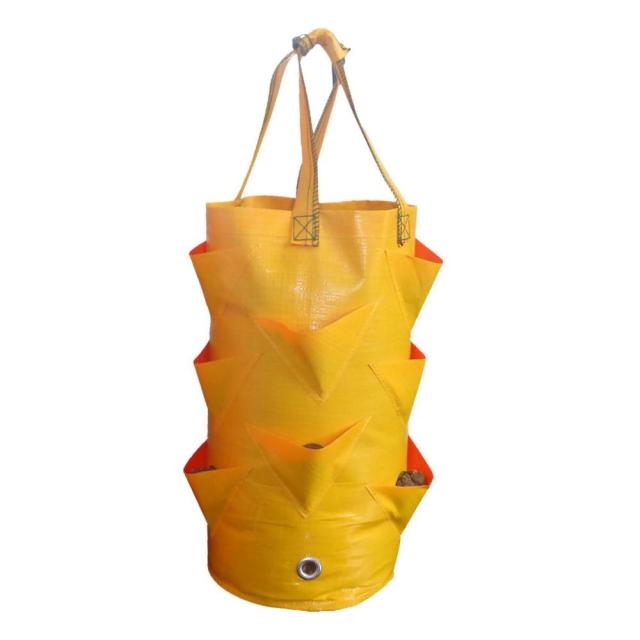 Garden Supplies Strawberry Planting Bag