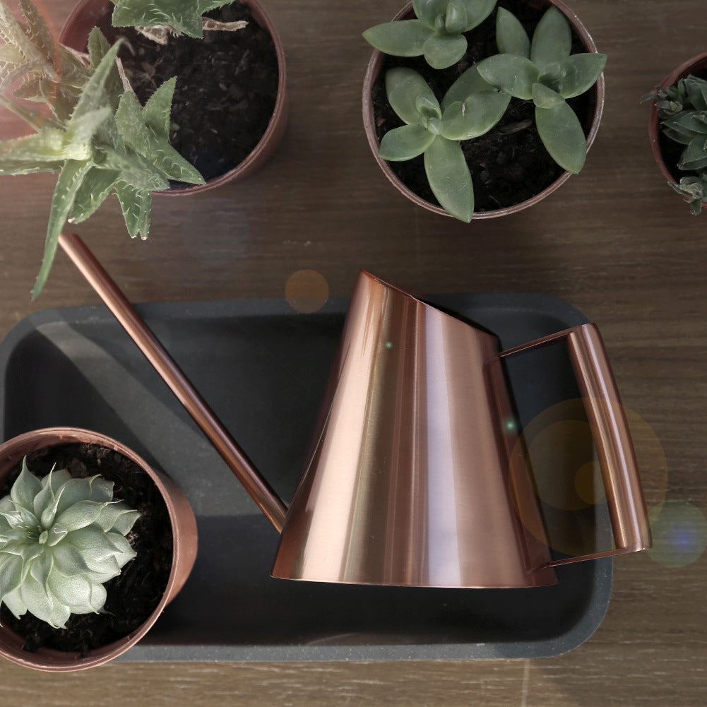 Stainless Steel Watering Pot