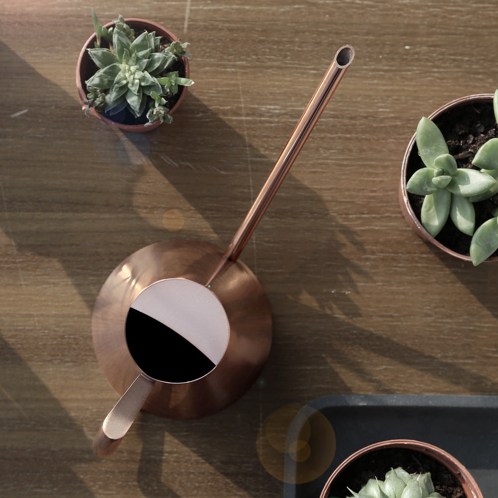 Stainless Steel Watering Pot