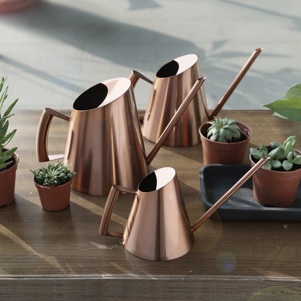 Stainless Steel Watering Pot