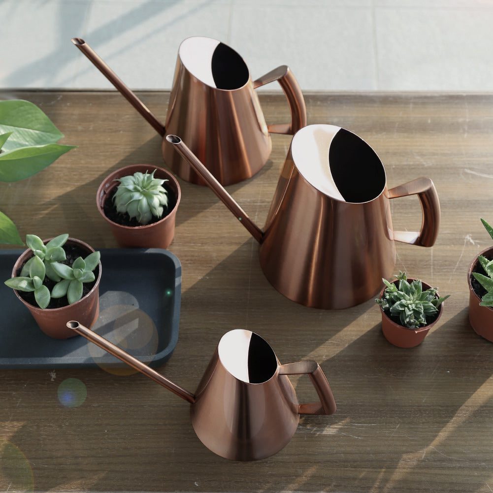 Stainless Steel Watering Pot